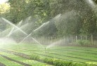 Islalandscaping-water-management-and-drainage-17.jpg; ?>
